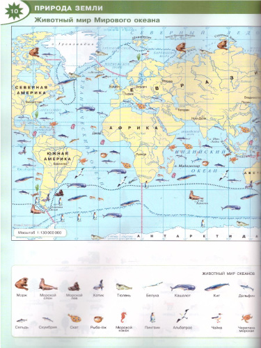 География Атлас 7 класс. (ФП2022)