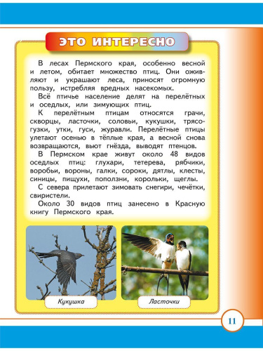 Маленький пермяк. Занимательное краеведение. 1 класс. Тренажер для школьников