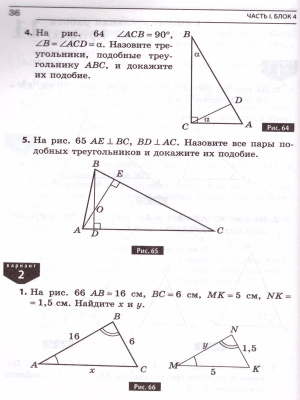 55613752-3