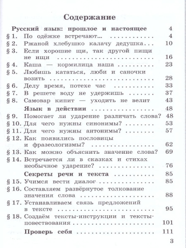 Русский родной язык 2 класс. Практикум