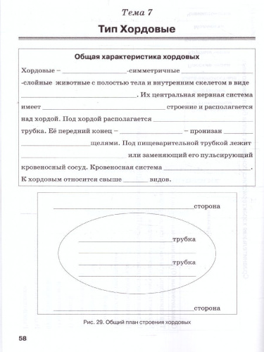 Биология 7 класс. Рабочая тетрадь. Животные