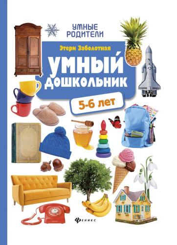 Умный дошкольник 5-6 лет (тренажер-практикум)