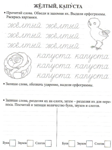 Орфографические прописи 2 класс. Развивающие задания