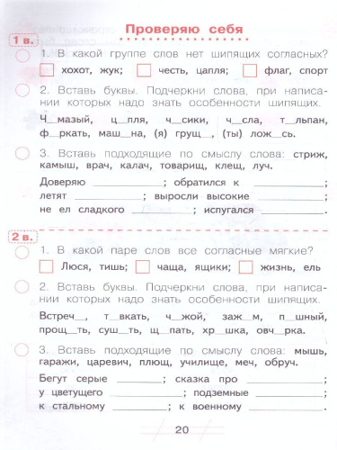 Нечаева Русский язык 1 кл.Я пишу грамотно.Формирование и мониторинг орфографической грамотности(Бино