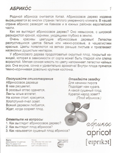 Демонстрационные картинки СУПЕР. Фрукты. 16 демонстрационных картинок с текстом 173х220 мм