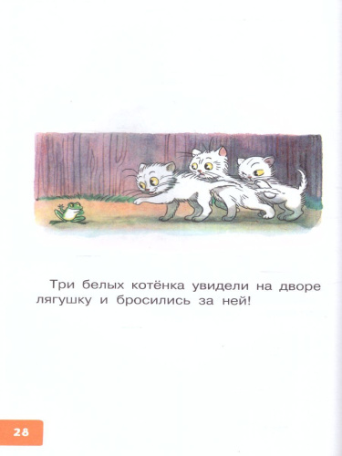 Маленькие сказочки. Библиотека для дошколят