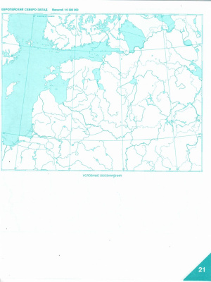 55610495-3