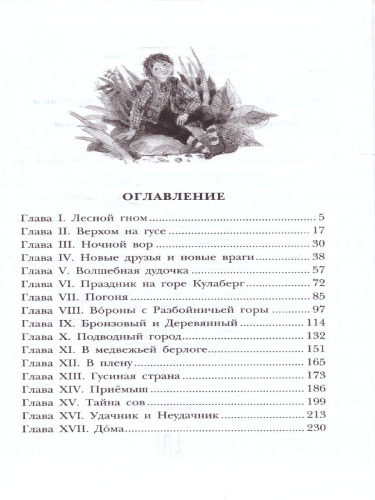 Чудесное путешествие Нильса с дикими гусями. Детское чтение