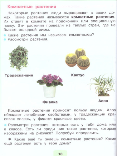 Мир природы и человека 2 класс. Учебник в 2-х частях. Часть 2 (для обучающихся с интеллектуальными нарушениями)