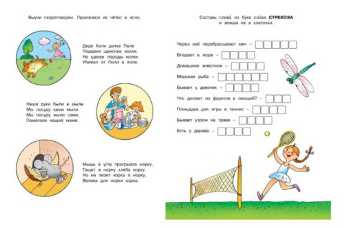 Развиваем речь (5-6 лет) / Дошкольная мозаика