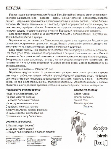 Демонстрационные картинки СУПЕР Деревья и кустарники.16 демонстрационных картинок с текстом. 173х220 мм