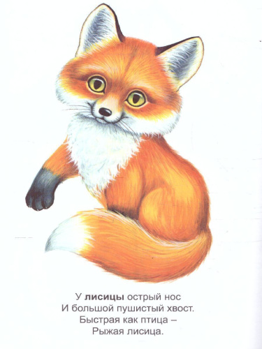 Раскраска Малышок "Дикие животные"