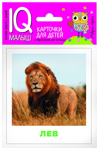 Умный малыш. Животные жарких стран. Набор карточек для детей