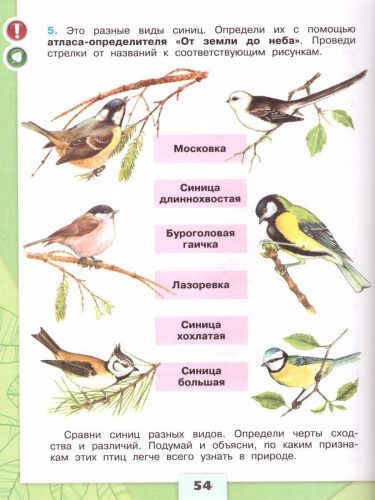 Окружающий мир 3 класс. Рабочая тетрадь в 2-х частях. Часть 1. УМК "Школа России"