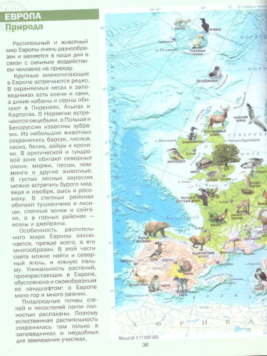Мир и человек. Иллюстрированный атлас. В новых границах