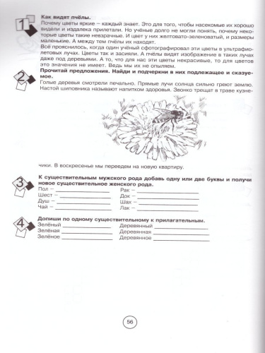 Занимательная летняя школа 4-5 класс (4 передмета на одном развороте)