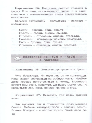 Русский язык 4 класс. Ключи. Упражнения и диктанты повышенной сложности. Тесты. ФГОС