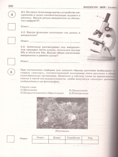 ВПР Русский язык Математика История Биология 5 класс. Сборник