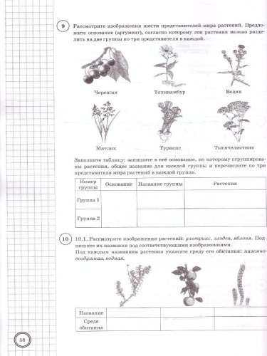 ВПР Биология 7 класс. Типовые задания. 10 вариантов. ФГОС Новый