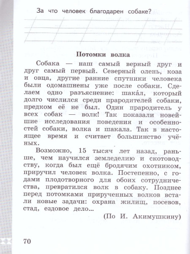 Русский родной язык 1 класс. Практикум