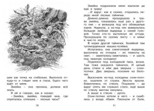 Лесные тайнички. Чтение - лучшее учение