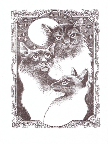 Сборник. Цикл "Нерассказанные истории". История Остролистой