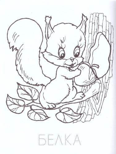 Чудо-фломастер Зоопарк А4 раскраска