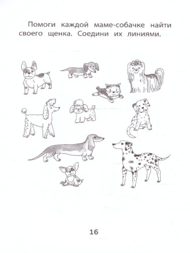Прятки. Развиваем внимание. Готовимся к школе