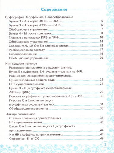 Тренажер по Русскому языку 6 класс. К учебнику М.Т. Баранова. ФГОС