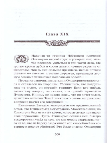 Неистовая буря (цикл "Видение теней")