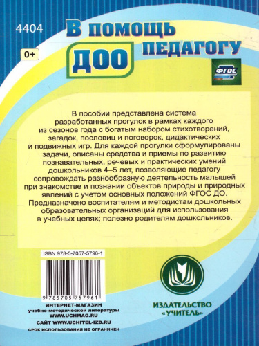 Организация деятельности детей на прогулке: средняя группа