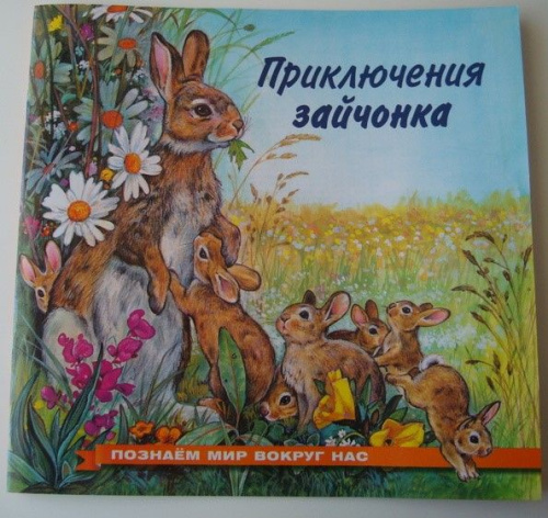 Познаем мир вокруг нас / Приключения зайчонка
