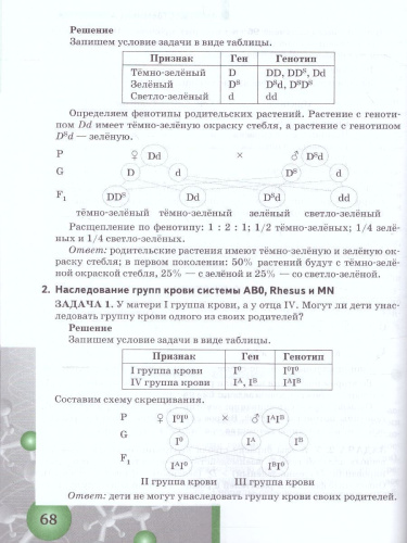 Задачи по молекулярной Биологии и Генетике 10-11 класс. Теория и практика