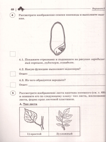 ВПР Биология 6 класс. 10 тренировочных вариантов
