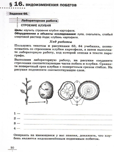 Биология 6 класс. Линейный курс. Рабочая тетрадь