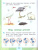 Окружающий мир 2 класс. Тесты (ФП2022)