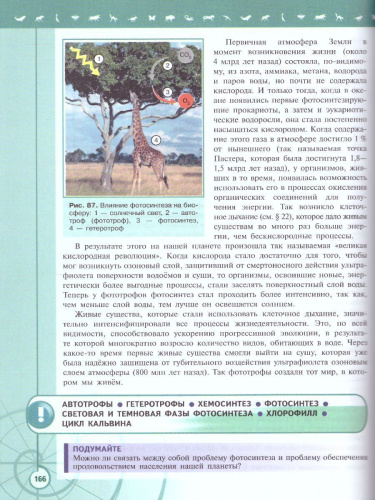Биология 10 класс. Базовый уровень. Учебник. УМК "Линия жизни" (ФП2022)