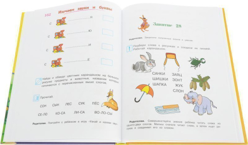 Годовой курс развивающих занятий. Для одаренных детей 4-5 лет