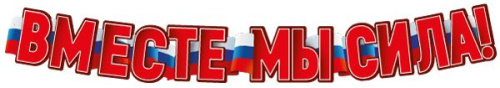 Гирлянда (1,60 м) Вместе мы сила!