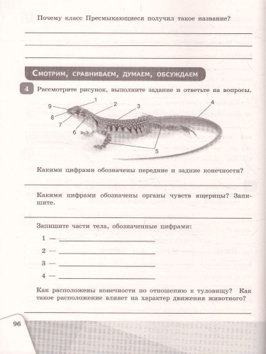 Биология 7 класс. Рабочая тетрадь