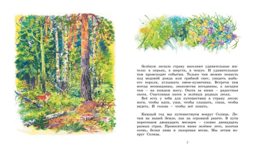 Лесные тайнички /Библиотека детской классики