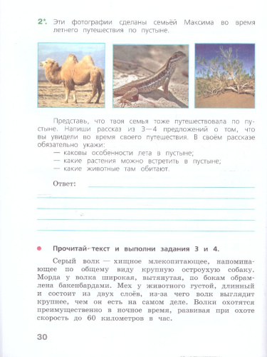 Готовимся к Всероссийской проверочной работе. Окружающий мир 4 класс. Рабочая тетрадь