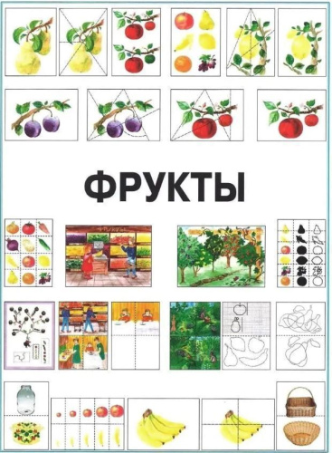 Развитие мыслительной деятельности у детей дошкольного возраста с ОВЗ (4-7 лет). Рабочая тетрадь № 2
