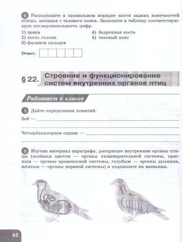 Биология 8 класс. Углублённый уровень. Рабочая тетрадь. 2 часть