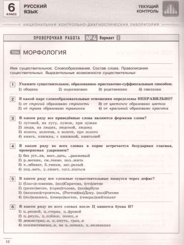 Русский язык 6 класс. Текущий контроль