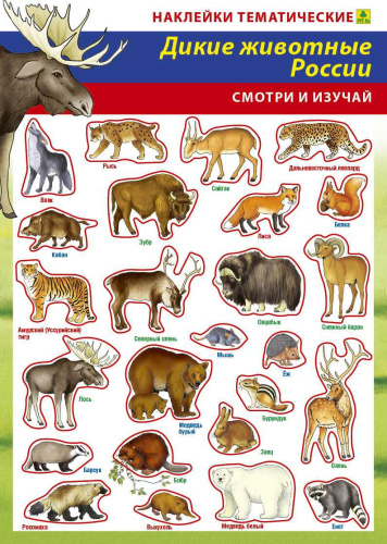Наклейки тематические. Дикие животные России