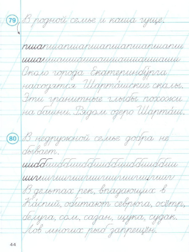 Тренажер по чистописанию. Русский язык 2 класс. НОВЫЙ ФГОС