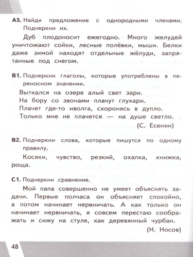 ВПР. Русский язык 4 класс. Контрольные измерительные материалы. ФГОС