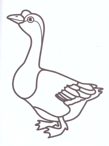 Раскраска Малышок "Домашние птицы"