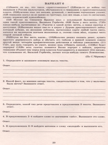 Русский язык 5-6 класс. Практикум по анализу текста. Готовимся к ВПР